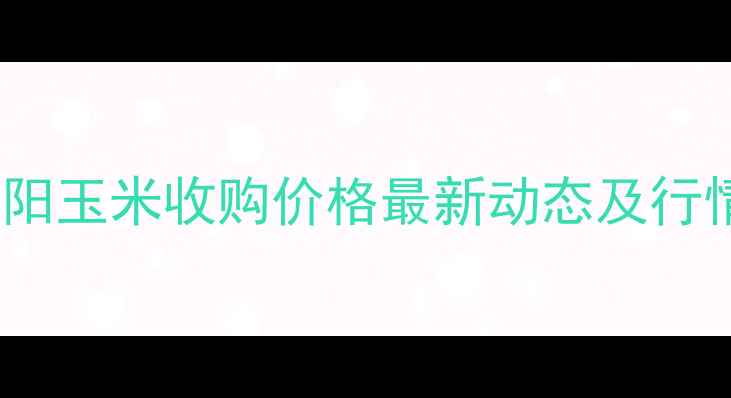 图片 河南南阳玉米收购价格最新动态及行情分析2