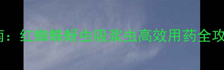 图片 河南小麦虫害防治指南：红蜘蛛蚜虫吸浆虫高效用药全攻略（附用药时间表）1