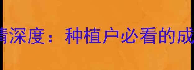 图片 河南新玉米价格行情深度：种植户必看的成本收益与市场趋势1