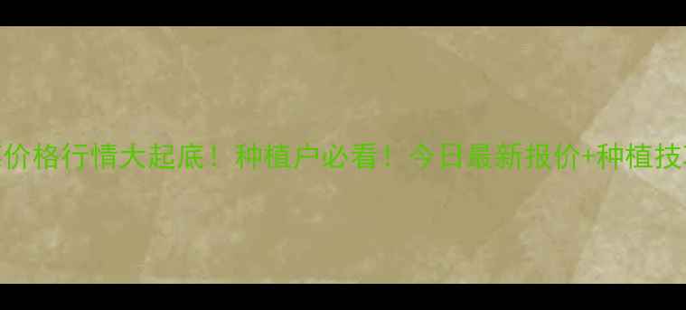 图片 油菜价格行情大起底！种植户必看！今日最新报价+种植技巧全