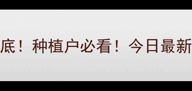 图片 油菜价格行情大起底！种植户必看！今日最新报价+种植技巧全1