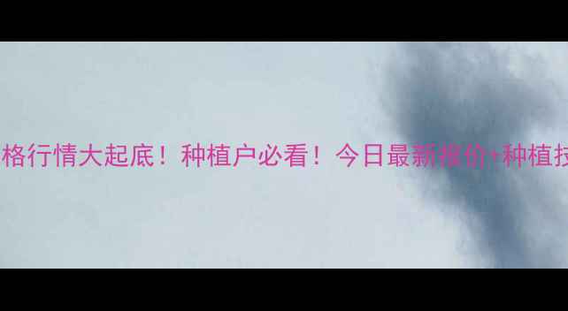 图片 油菜价格行情大起底！种植户必看！今日最新报价+种植技巧全2