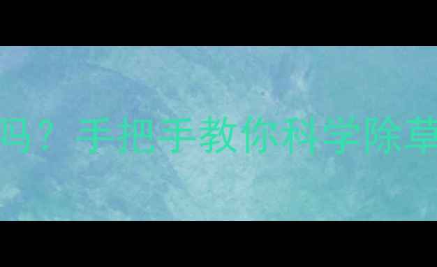 图片 油菜开始抽薹能用除草剂吗？手把手教你科学除草不伤苗（附操作全流程）