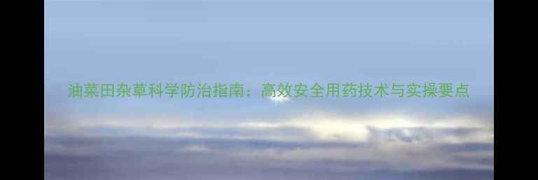 图片 油菜田杂草科学防治指南：高效安全用药技术与实操要点