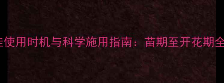 图片 油菜除草剂最佳使用时机与科学施用指南：苗期至开花期全阶段管理攻略2