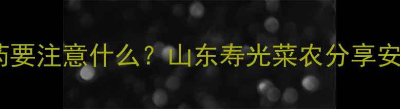 图片 油麦尖打农药要注意什么？山东寿光菜农分享安全用药指南2
