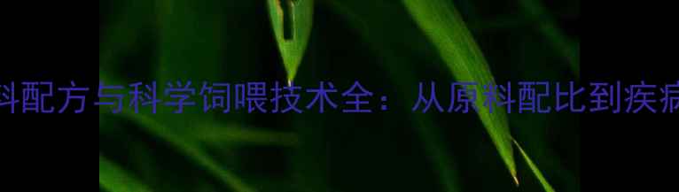 图片 泥鳅高效养殖饲料配方与科学饲喂技术全：从原料配比到疾病防控的完整指南