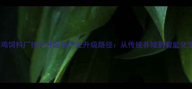 图片 泰安鸡饲料厂技术升级与产业升级路径：从传统养殖到智能化生产1