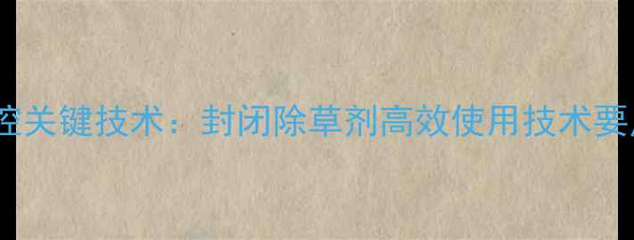 图片 洋葱田杂草防控关键技术：封闭除草剂高效使用技术要点与注意事项1