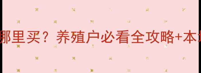 图片 洛阳小鸡饲料哪里买？养殖户必看全攻略+本地供应商清单2
