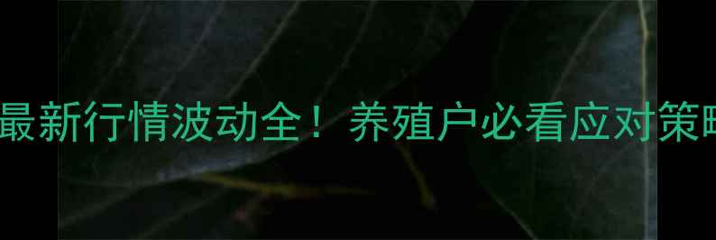 图片 洪洞生猪价格9月28日最新行情波动全！养殖户必看应对策略+未来趋势预测🐷📊2