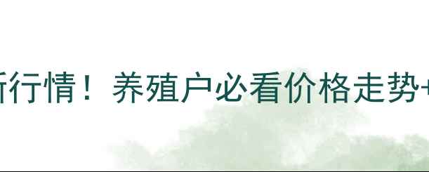 图片 活毛羊价格最新行情！养殖户必看价格走势+养殖避坑指南1