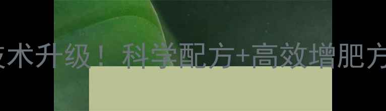图片 济南安池饲料养殖技术升级！科学配方+高效增肥方案，养殖户必看！2