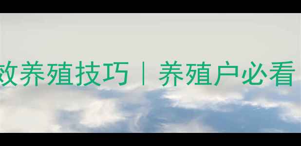 图片 海鲈鱼饲料配方与高效养殖技巧｜养殖户必看！年利润翻倍的秘密1
