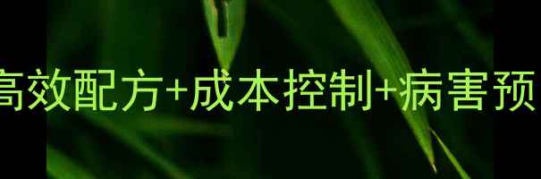 图片 海鲷鱼饲料养殖技术全：高效配方+成本控制+病害预防，新手也能轻松上手！1