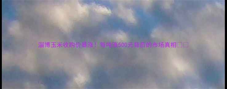 图片 淄博玉米收购价暴涨！每吨涨500元背后的市场真相🌾💰