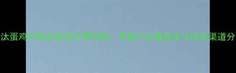 图片 淘汰蛋鸡价格走势及行情预测：养殖户必看成本与回收渠道分析