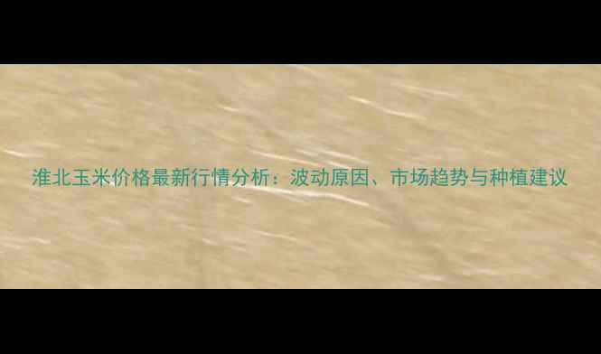 图片 淮北玉米价格最新行情分析：波动原因、市场趋势与种植建议