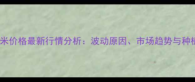 图片 淮北玉米价格最新行情分析：波动原因、市场趋势与种植建议2