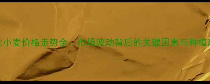 图片 湖北小麦价格走势全：市场波动背后的关键因素与种植建议