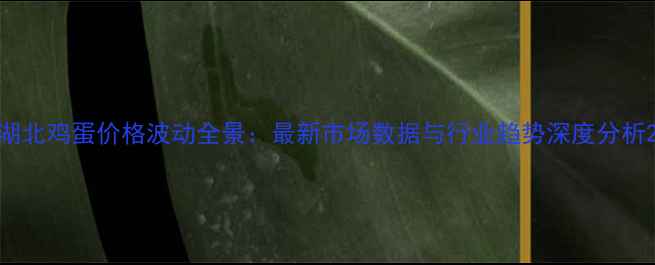 图片 湖北鸡蛋价格波动全景：最新市场数据与行业趋势深度分析2