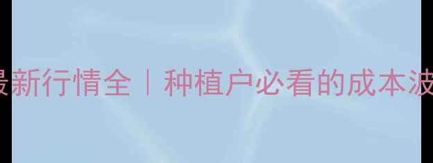 图片 湖南玉米价格最新行情全｜种植户必看的成本波动与市场趋势2