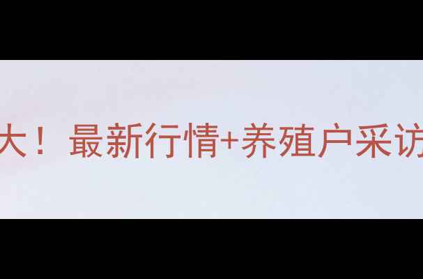 图片 湖南鸡蛋价格波动大！最新行情+养殖户采访+消费趋势全🥚📈1