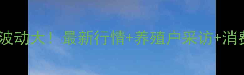 图片 湖南鸡蛋价格波动大！最新行情+养殖户采访+消费趋势全🥚📈2