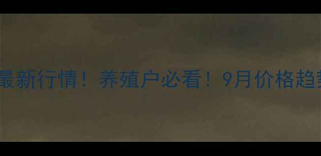 图片 潍坊肥猪价格最新行情！养殖户必看！9月价格趋势及养殖建议2