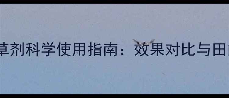 图片 炔草酸除草剂科学使用指南：效果对比与田间管理全2