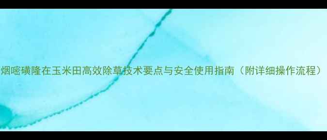 图片 烟嘧磺隆在玉米田高效除草技术要点与安全使用指南（附详细操作流程）