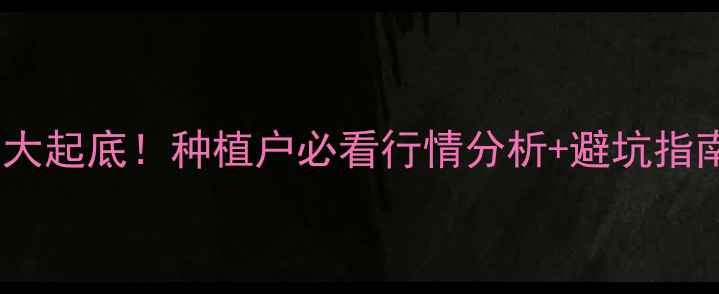 图片 爆款预警新蒜价格大起底！种植户必看行情分析+避坑指南（附种植技术）1
