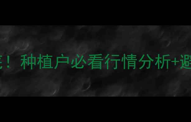 图片 爆款预警新蒜价格大起底！种植户必看行情分析+避坑指南（附种植技术）2