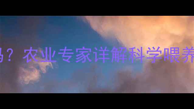 图片 狗狗能吃牛饲料吗？农业专家详解科学喂养指南及风险隐患2