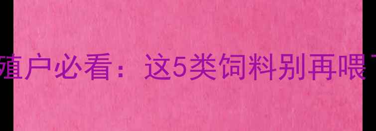 图片 猪饲料安全隐患大！养殖户必看：这5类饲料别再喂了！附科学替代方案🐷2