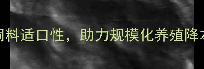 图片 猪饲料硬度检测技术：科学提升饲料适口性，助力规模化养殖降本增效（附检测方法与设备推荐）