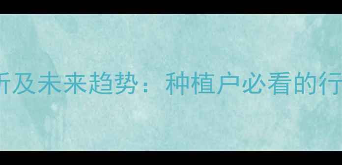 图片 玉玉米价格波动分析及未来趋势：种植户必看的行情预测与应对策略1