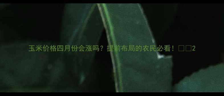 图片 玉米价格四月份会涨吗？提前布局的农民必看！🌾📈2