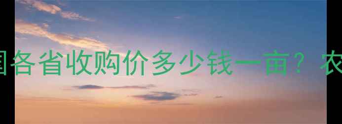 图片 玉米价格最新行情：全国各省收购价多少钱一亩？农民种植指南与市场分析2
