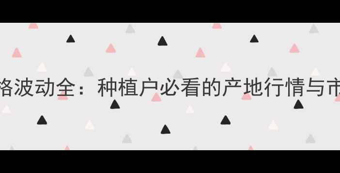 图片 玉米价格波动全：种植户必看的产地行情与市场趋势