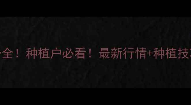 图片 玉米价格走势全！种植户必看！最新行情+种植技巧+政策解读2