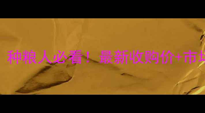 图片 玉米价格走势全｜种粮人必看！最新收购价+市场趋势+投资攻略1