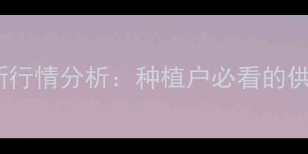 图片 玉米价格走势及最新行情分析：种植户必看的供需关系与市场预测2