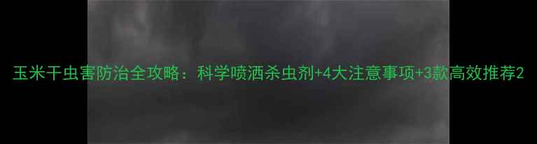图片 玉米干虫害防治全攻略：科学喷洒杀虫剂+4大注意事项+3款高效推荐2