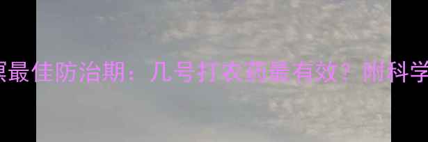 图片 玉米心叶螟最佳防治期：几号打农药最有效？附科学用药方案2