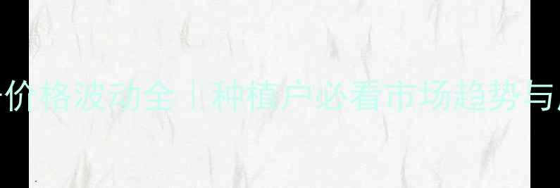 图片 玉米棒子价格波动全｜种植户必看市场趋势与应对策略