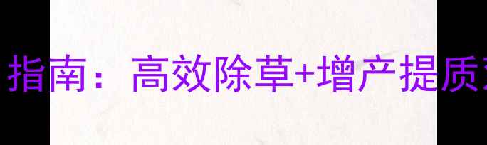 图片 玉米田除草剂使用指南：高效除草+增产提质双保障的黄金方案