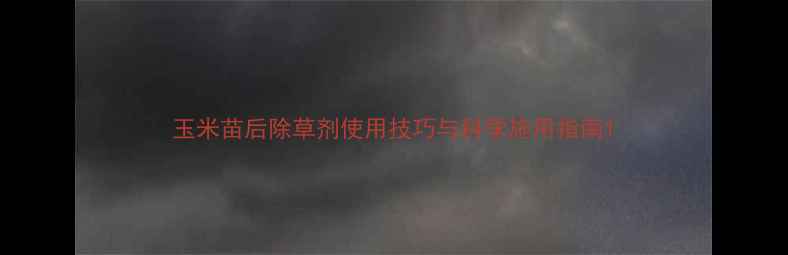 图片 玉米苗后除草剂使用技巧与科学施用指南1