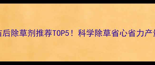 图片 玉米苗后除草剂推荐TOP5！科学除草省心省力产量翻倍