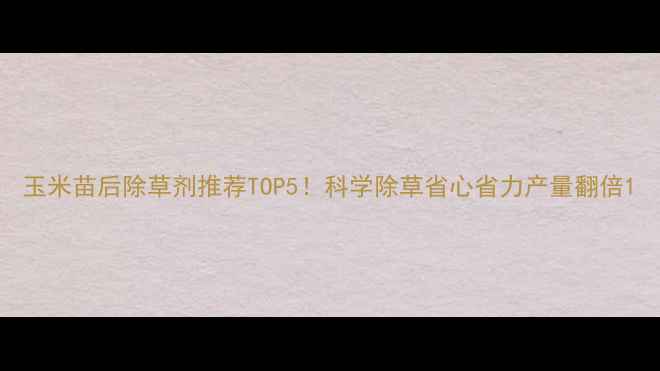 图片 玉米苗后除草剂推荐TOP5！科学除草省心省力产量翻倍1